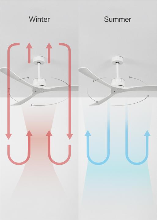 Actual product image Create Wind Large (50 dB)