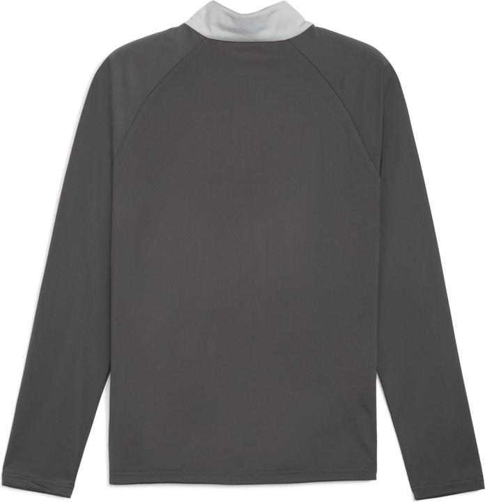 Actual product image Puma IndividualLIGA 1/4 zip top (M)