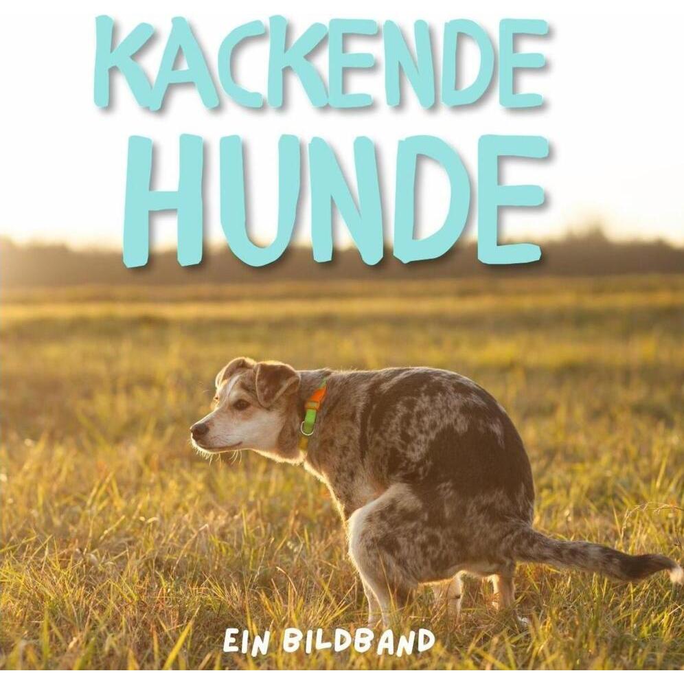 Kackende Hunde, Belletristik von Tim Fröhlich