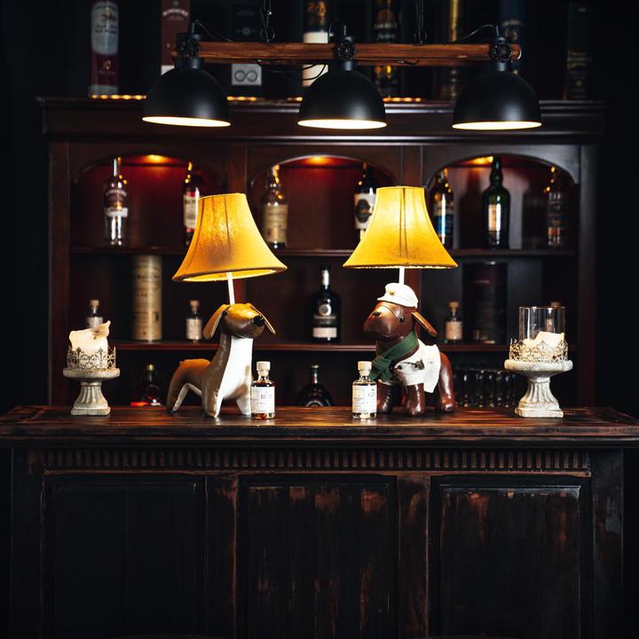 Immagine prodotto Happy Lamps Waldi il bassotto (470 lm)