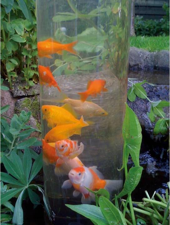 Actual product image Ubbink Gartenteich Zubehör