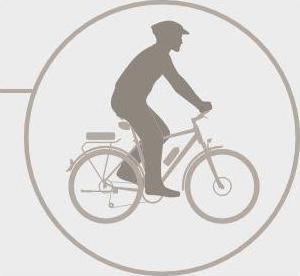 Immagine prodotto Terry Fisio Flex Gel