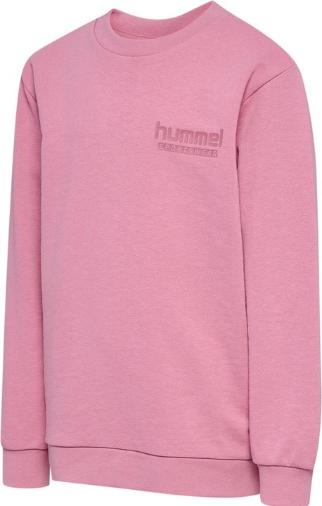 Image du produit hummel hmlJR BASE SWEAT SET (134)