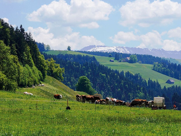 Produktbild Smartbox 2 Übernachtungen auf einem Bauernhof mit Frühstück im Emmental (2 Pers.)