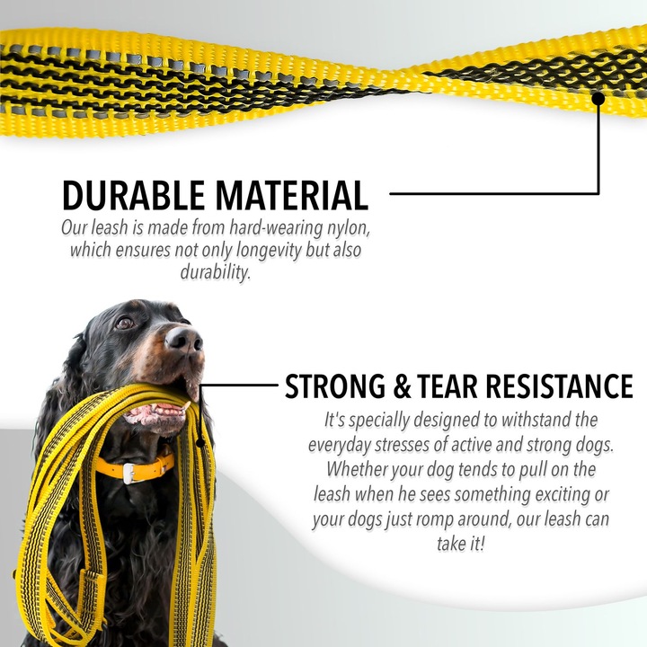 Actual product image Bluzelle Double line (XL, Dog, Walks)