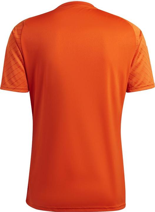 Actual product image adidas Campeon 23 Football Shirt Men (M)