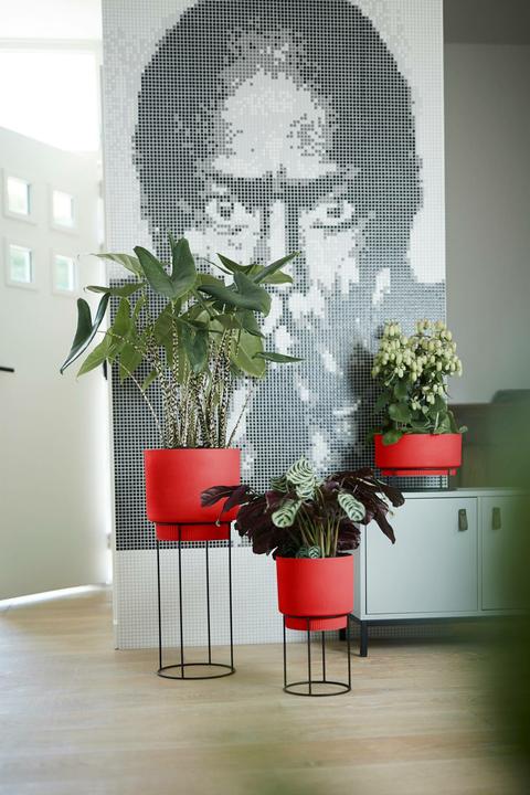 Produktbild Elho b.for studio (22 cm)