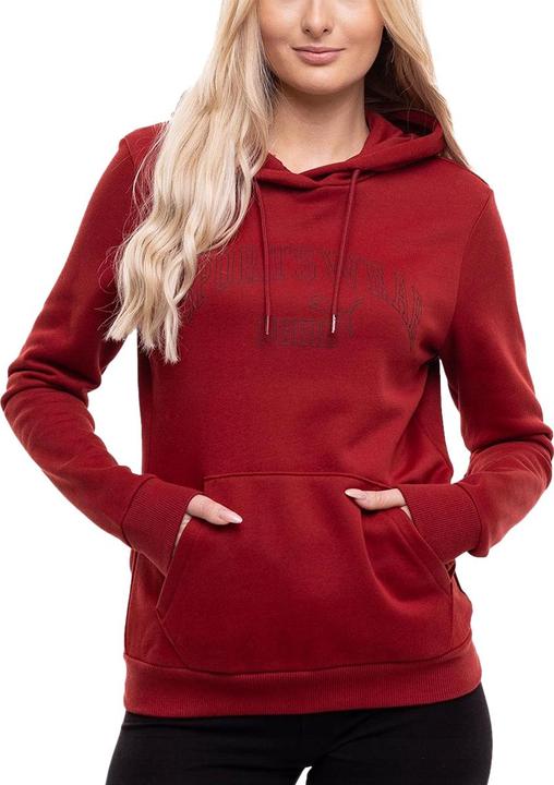Produktbild Puma Ess+ Lab Kapuzenpullover (M)