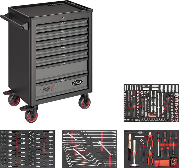 Actual product image Vigor WW 1000 + 317 PCS RANGE (317x)