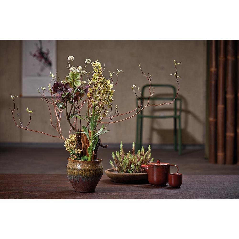Thumbnail - New Ikebana, Ratgeber von Klaus Wagener, Bernhild Wagener, BLOOM's GmbH