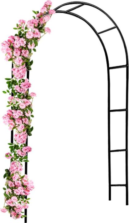 Immagine prodotto Deuba Arco per rose (240 cm, 140 cm)