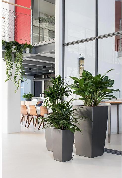 Produktbild Lechuza Cubico (50 cm)