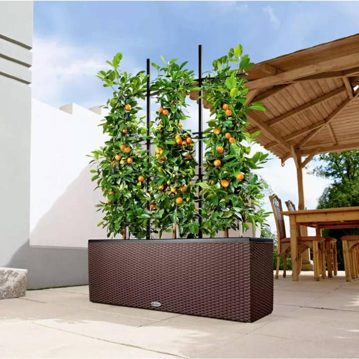 Actual product image Lechuza Trio Cottage (32 cm)
