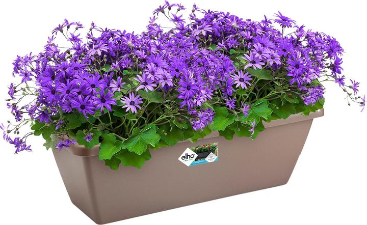 Immagine prodotto Elho Barcellona (20 cm)