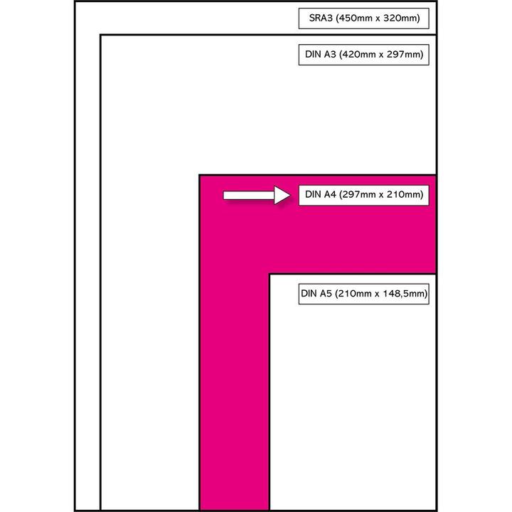 Immagine prodotto HP Premium (90 g/m², 500 x, A4)
