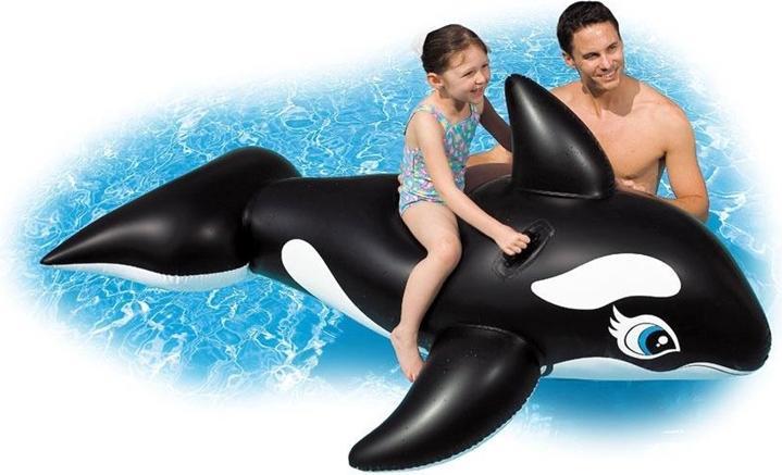 Image du produit Intex Baleine