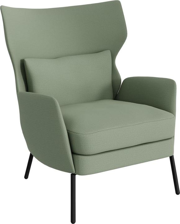 Caleido 9881 grigio verde, Cat. 2