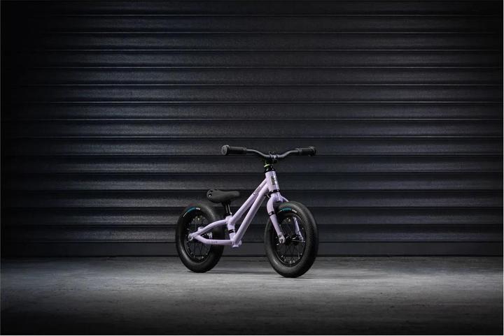 Actual product image Early Rider Charger 12