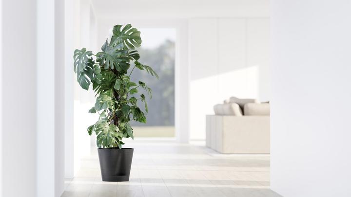 Produktbild Ecopots Venice 2 (40.20 x 35.70 cm)