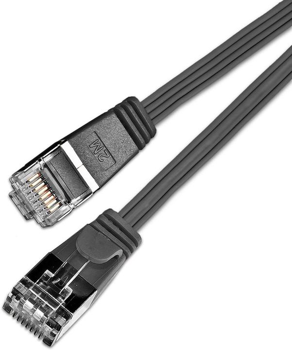 Image du produit Lightwin Câble de réseau (STP, CAT6, 0.25 m)