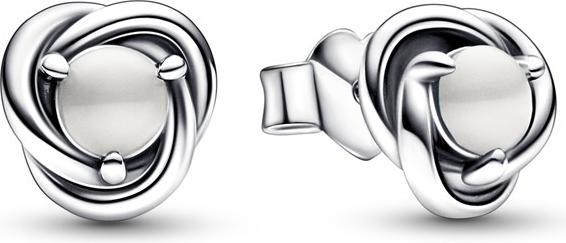 Image du produit Pandora Moments 292335C03