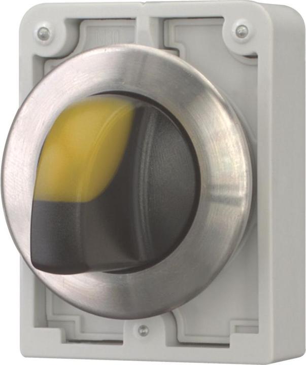 Actual product image Eaton Illuminated selector button RMQ-Titan
