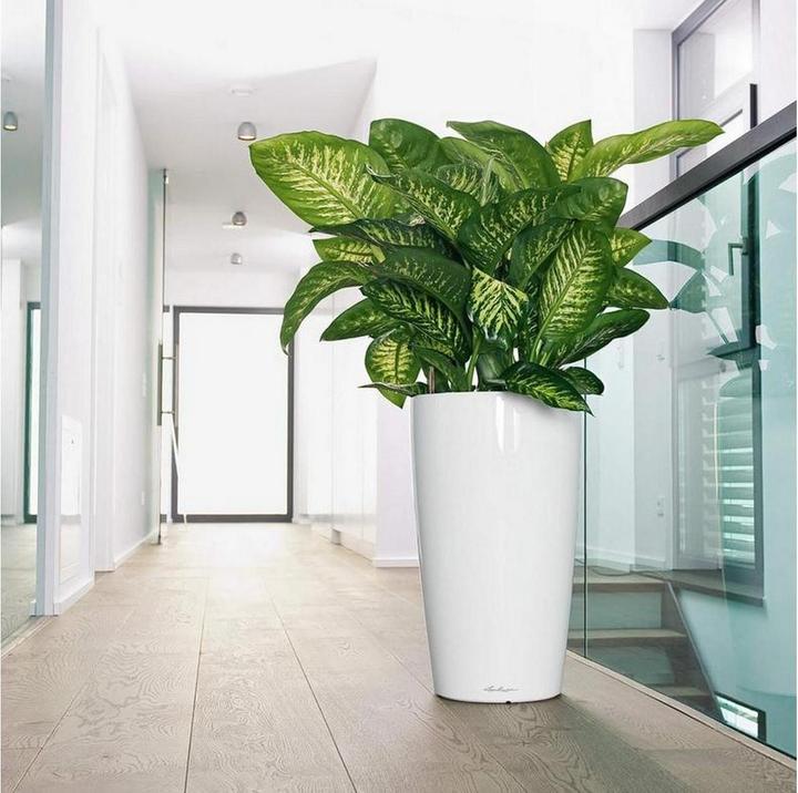 Image du produit Lechuza RONDO Premium. (40 x 40 x 75 cm)