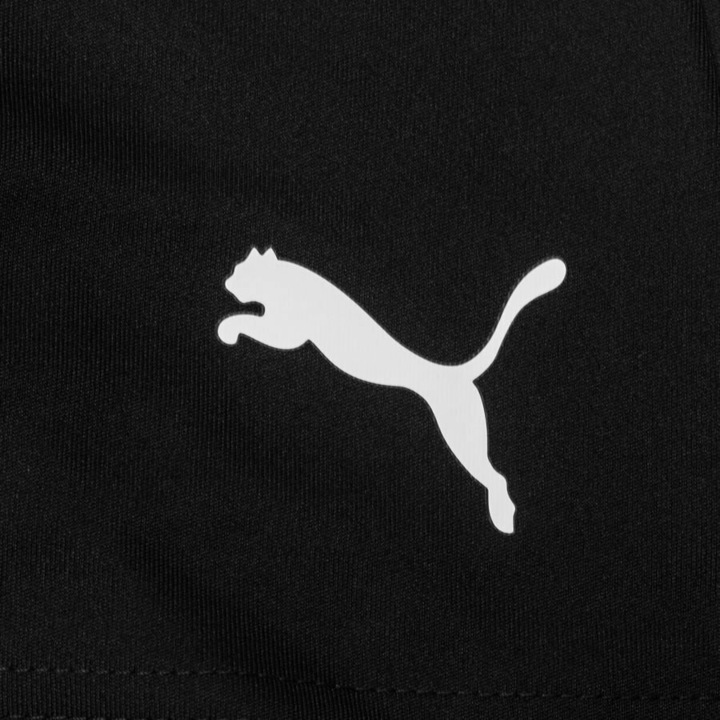 Actual product image Puma teamLIGA Shorts Jr-704931 (128)