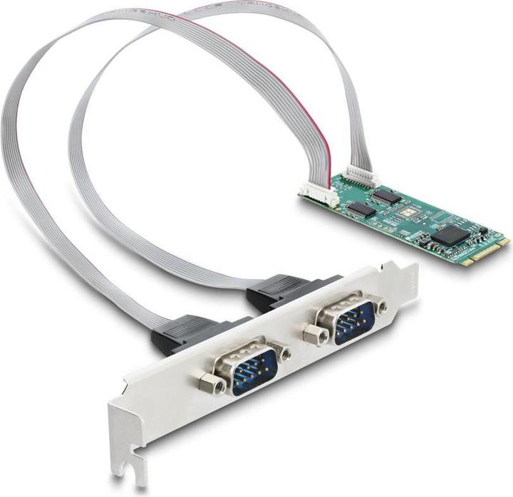 Produktbild Delock M.2 Karte zu 2 x Seriell RS-232 DB9 mit Standard und (0.30 m)