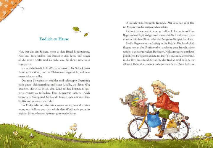 Produktbild Die Stoffis - Alle für einen (Band 2) (Deutsch, Sabine Städing, 2022)