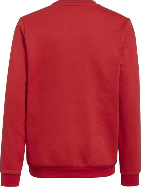 Produktbild Adidas Entrada 22 Sweatshirt (140)