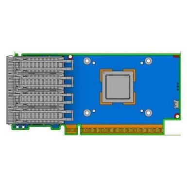 NVIDIA ConnectX-7 HHHL Adapter Card 25 (Mini PCI Express, PCI Express 4.0 x16), Netzwerkkarte, Grau,