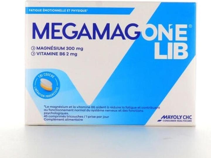 Image du produit Mayoly Megamagon