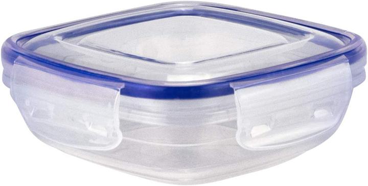 Actual product image Grizzly 8x Extra Small, Flat, Square (0.35 l)