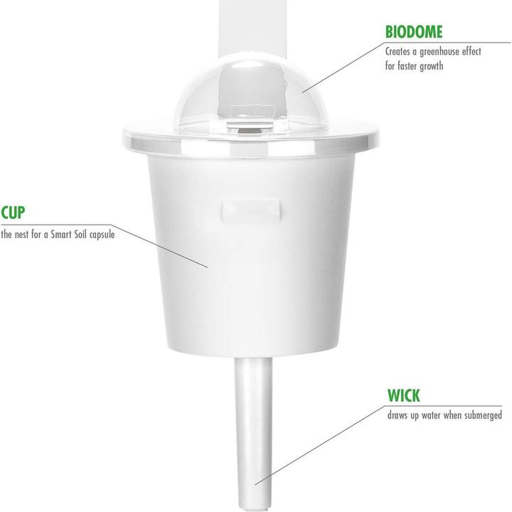 Immagine prodotto Click and Grow Insalata verde (Semi di verdura)