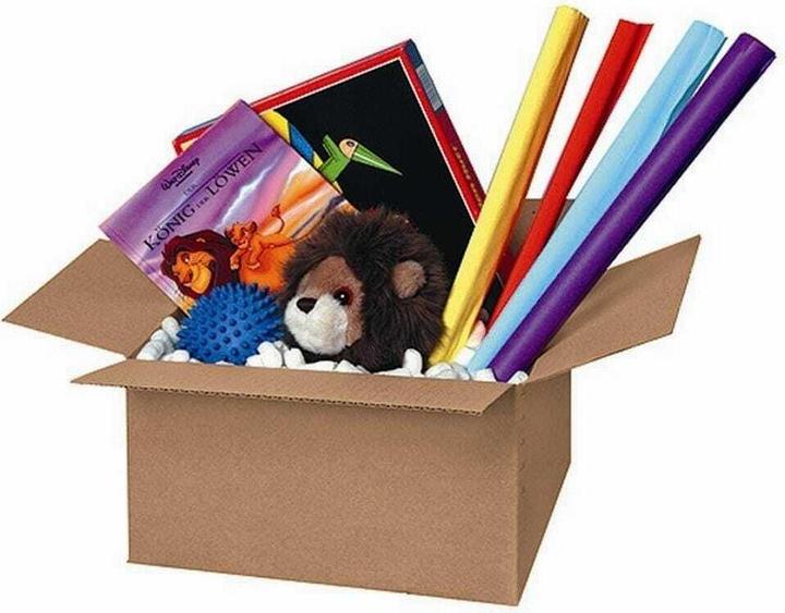 Actual product image Brieger Shipping box (1 x 53 x 37 cm, 1 x)