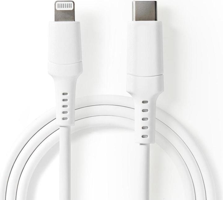 Générique Cavo Usb 2.0 a/b + ferriti + oro nero - 1 m (1 m