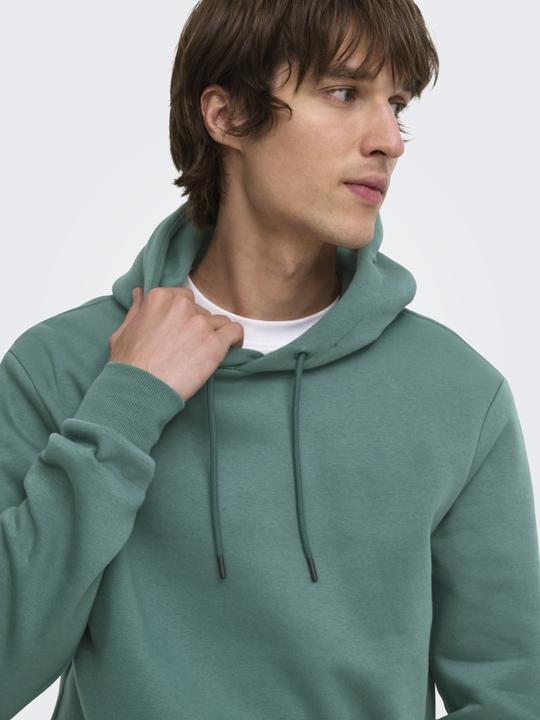 Image du produit Only & Sons Onsceres Hoodie Sweat Noos (L)