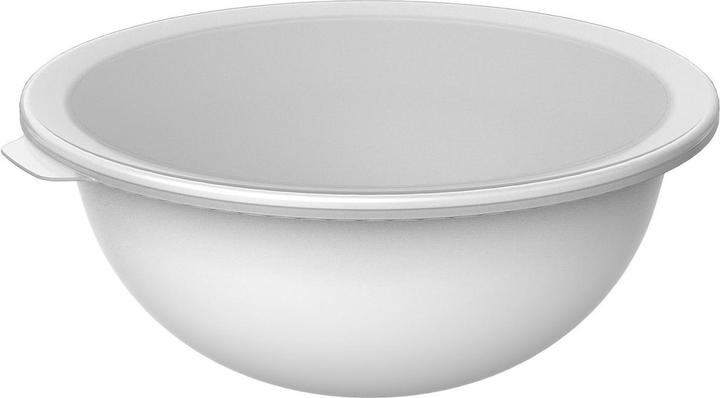 Produktbild Rotho Caruba (30.50 cm, 4.80 l, 1x)