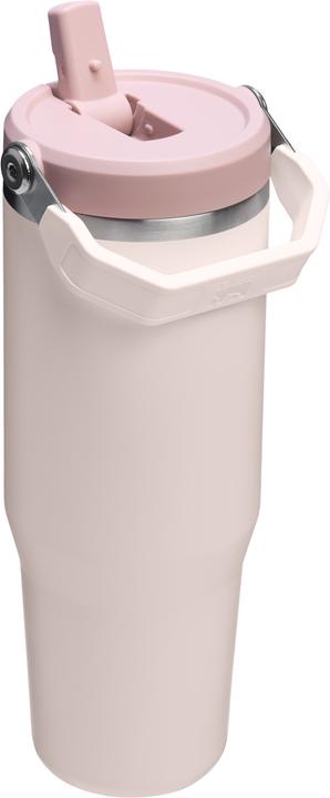 Actual product image Stanley IceFlow Flip Straw 2.0 Tumbler (0.89 l)
