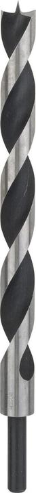 Actual product image Bosch Professional Zubehör Machine wood drill, M-point 18 x 250 mm, d 10 mm (10 mm)