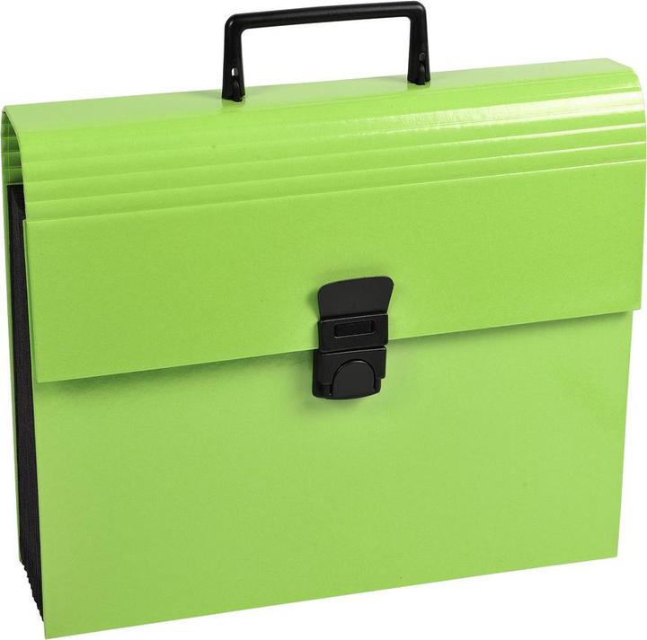 Image du produit Exacompta Fardes à compartiments (A4, 32x)