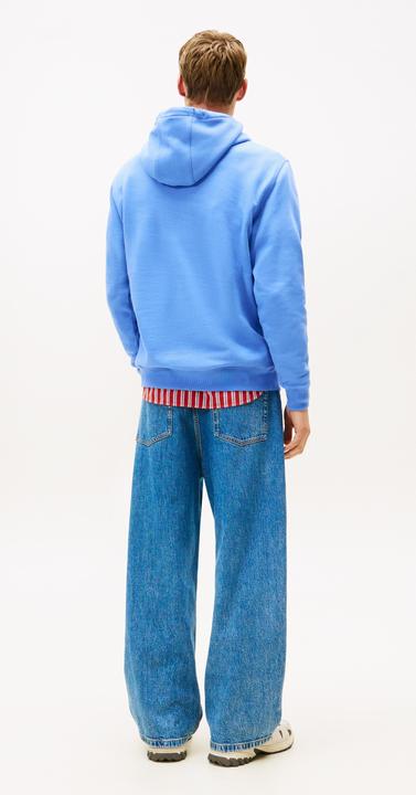 Image du produit Tommy Jeans Sweat à Capuche TJM Reg S Flag (XL)