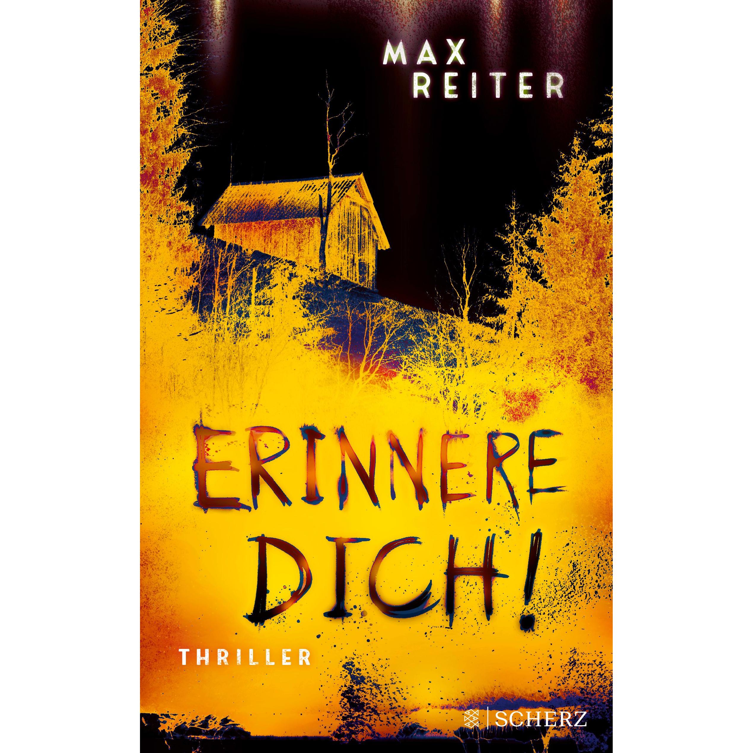 Erinnere dich!, Belletristik von Max Reiter