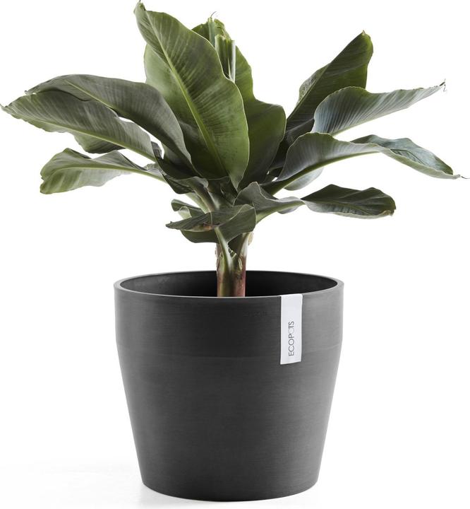 Actual product image Ecopots Sankara
