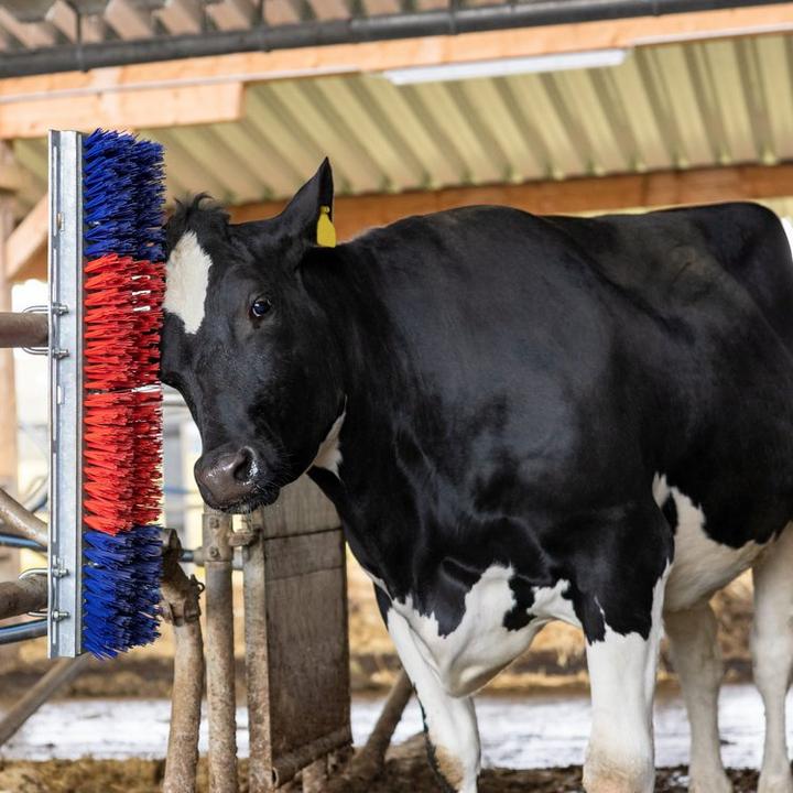 Actual product image Kerbl Scratch (90 cm)