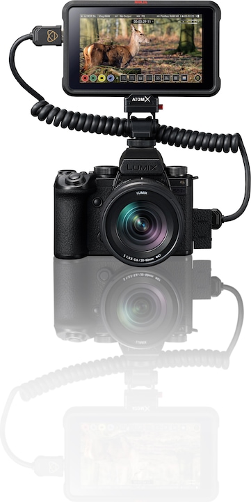 Actual product image Panasonic Lumix S5IIX Kit (20 - 60 mm, 24.20 Mpx, Full frame)