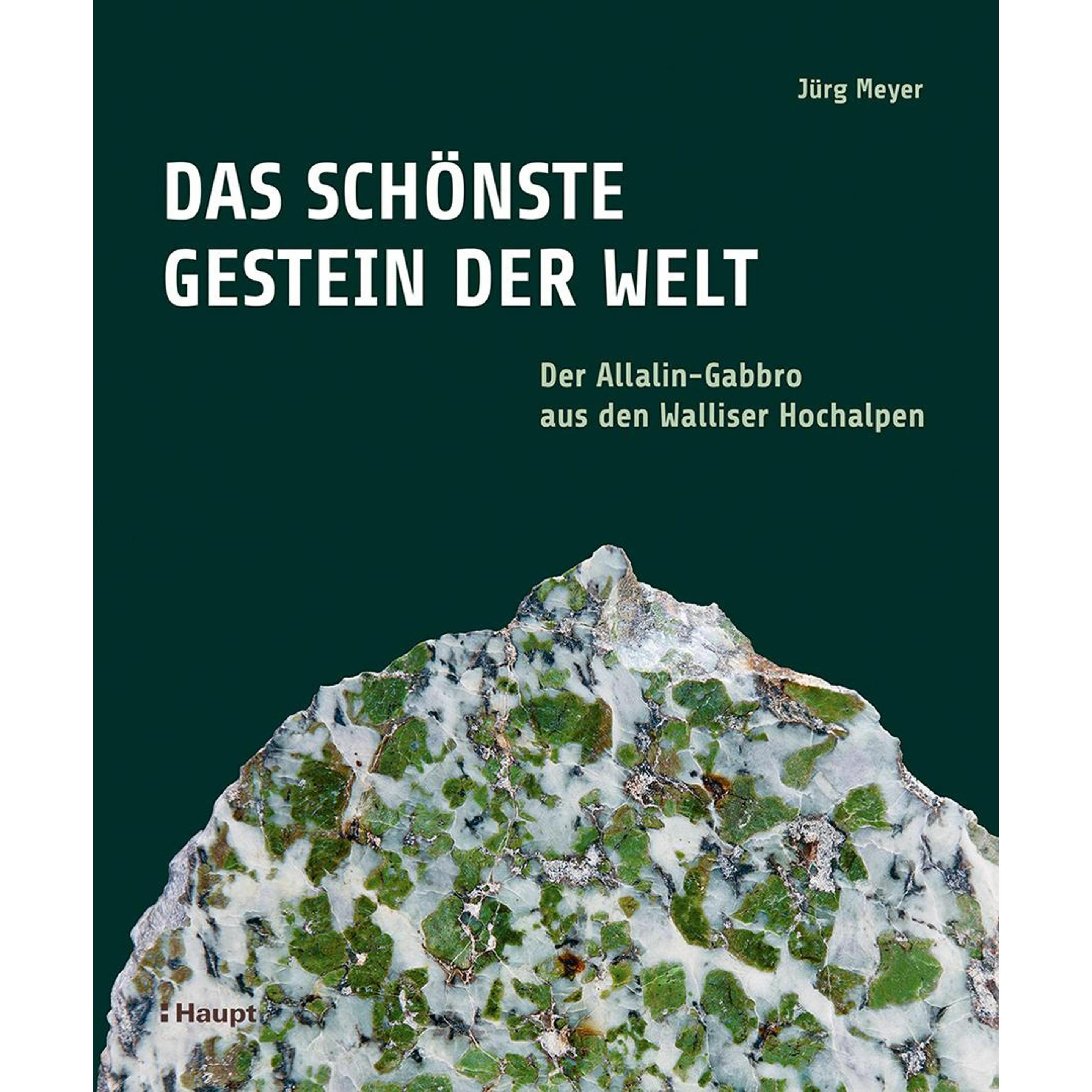 Das schönste Gestein der Welt, Fachbücher von Jürg Meyer