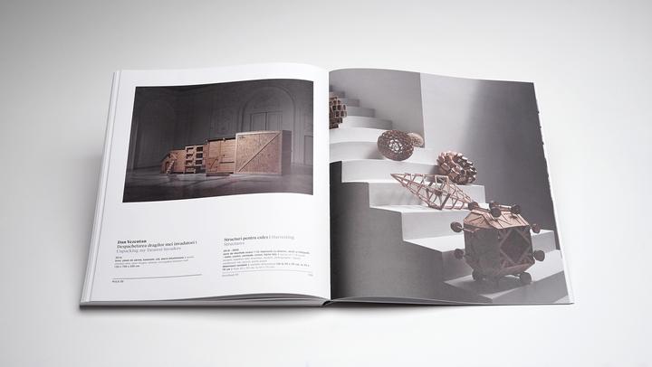 Actual product image Puls 20 (English, Romanian, Călin Dan, Calin Demetrescu Dan, Ruxandra Demetrescu, Simona Vilău, 2024)