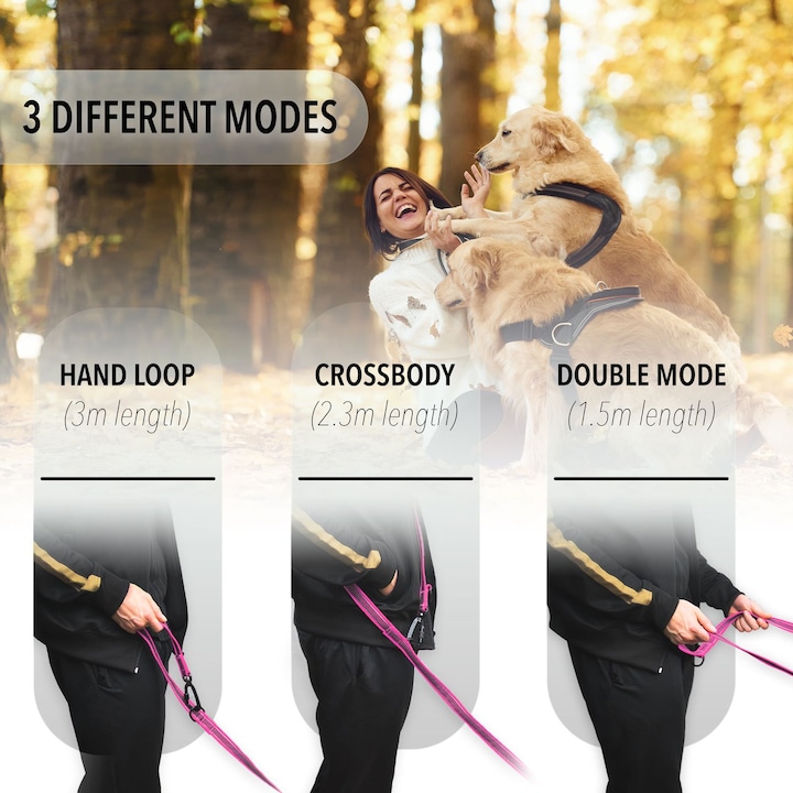 Actual product image Bluzelle 3m dog lead, double lead with carabiner, adjustable (Dog)